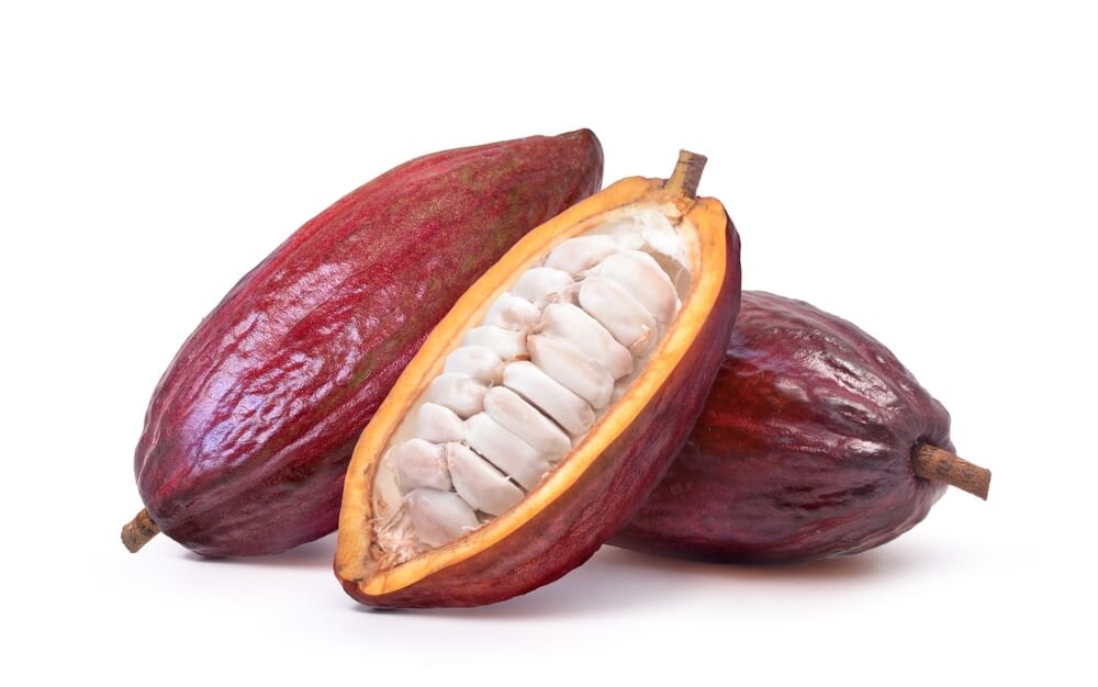 Cacao